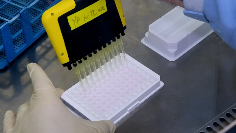 Monitoring eIF4F Assembly by Measuring eIF4E-eIF4G Interaction in Live Cells