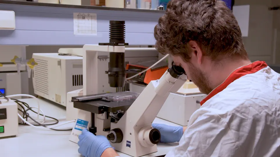 Characterization of In Vitro Differentiation of Human Primary Keratinocytes by RNA-Seq Analysis