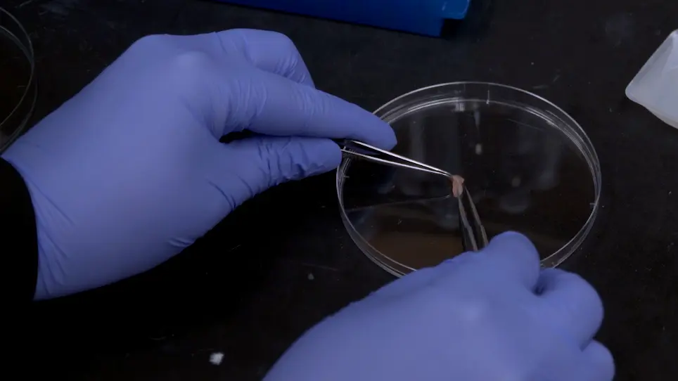 TMT Sample Preparation for Proteomics Facility Submission and Subsequent Data Analysis
