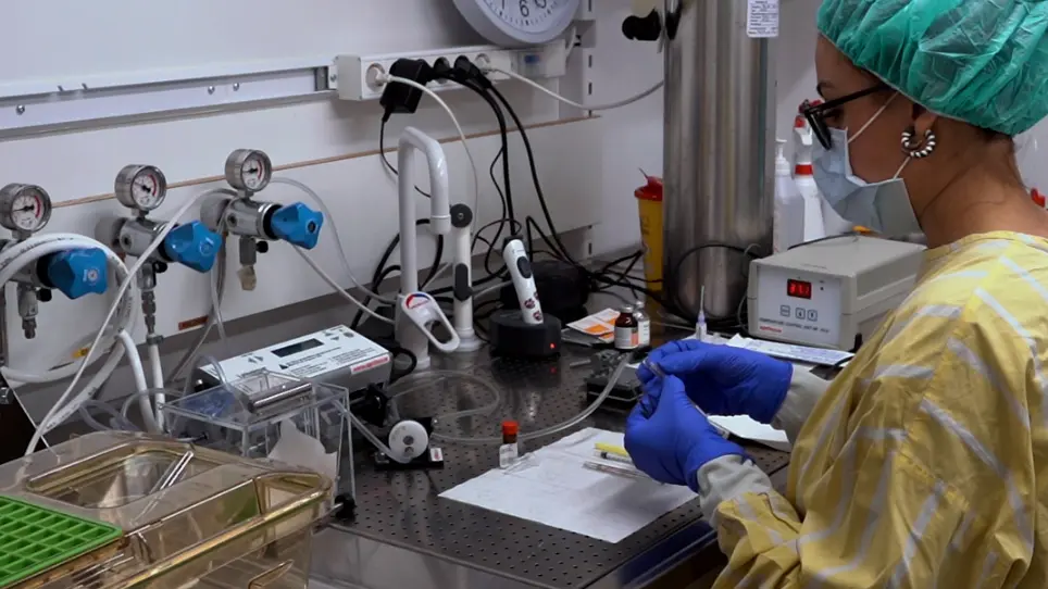 Induction of Leptomeningeal Cells Modification Via Intracisternal Injection
