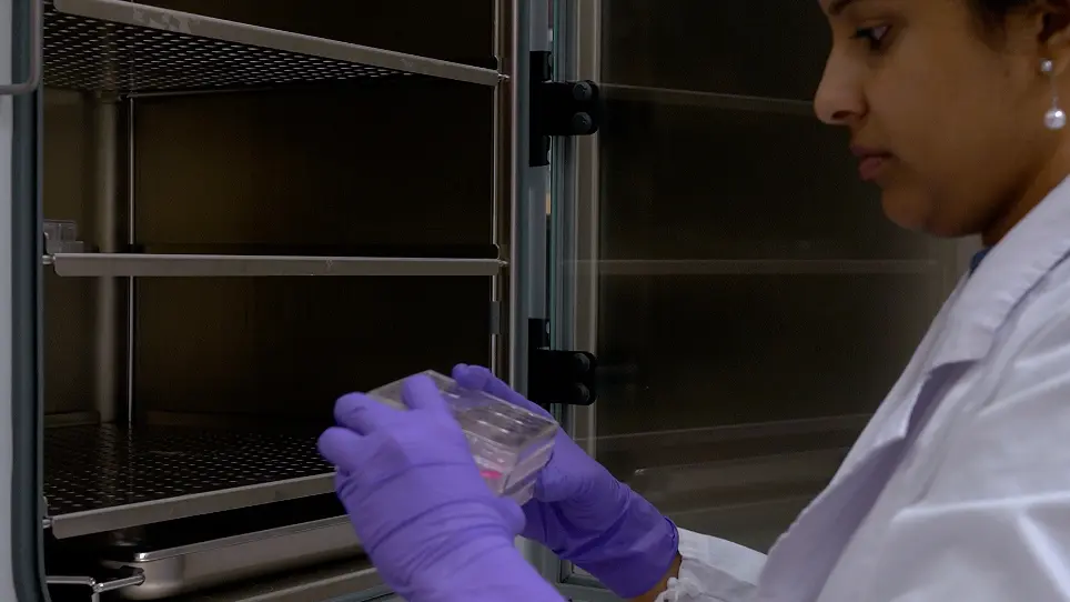 Simplified Reverse Genetics Method to Recover Recombinant Rotaviruses Expressing Reporter Proteins