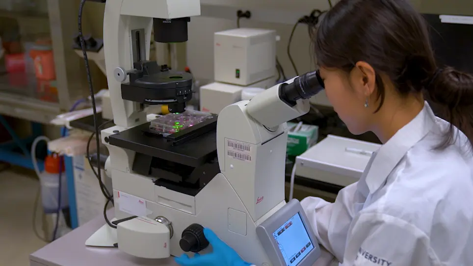 Rapid, Seamless Generation of Recombinant Poxviruses using Host Range and Visual Selection