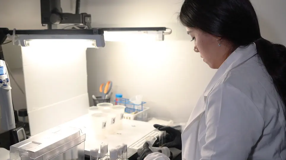 Flypub To Study Ethanol Induced Behavioral Disinhibition and Sensitization
