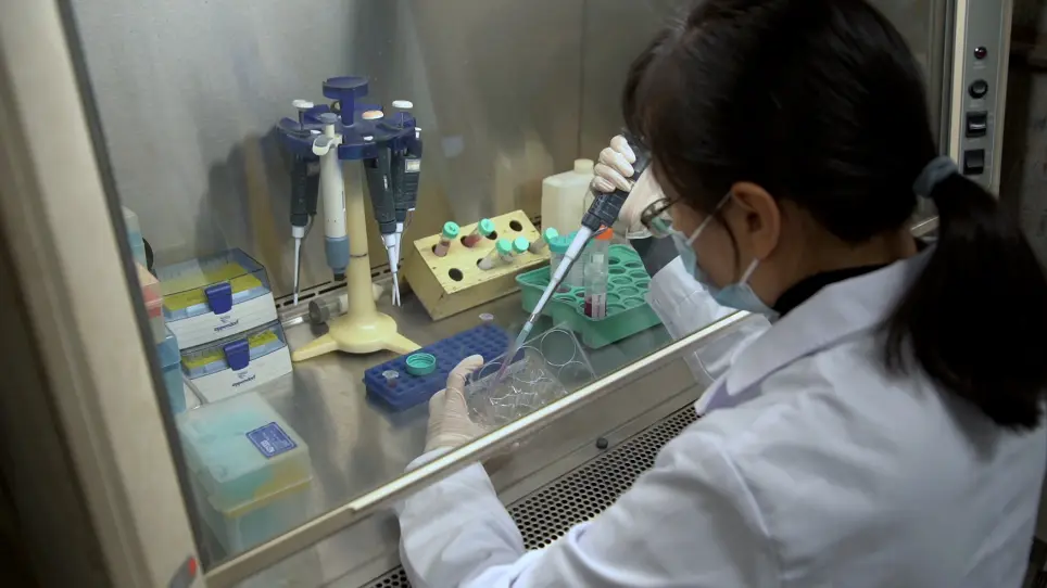 Neuronal Differentiation from Mouse Embryonic Stem Cells In vitro