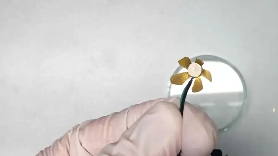 Fabrication of Carbon-Based Ionic Electromechanically Active Soft Actuators