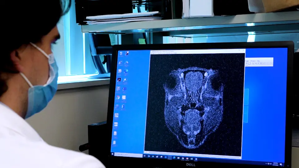 Modeling Brain Metastases Through Intracranial Injection and Magnetic Resonance Imaging