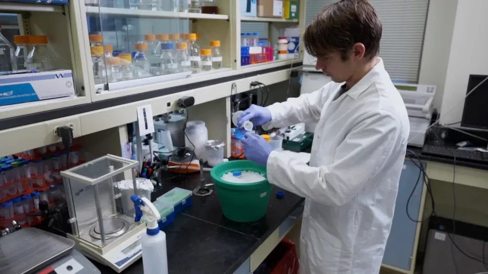 Native Cell Membrane Nanoparticles System for Membrane Protein-Protein Interaction Analysis