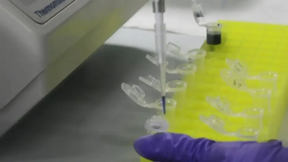 RNA Blot Analysis for the Detection and Quantification of Plant MicroRNAs