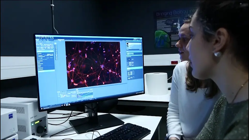 Isolation and Culture of Chick Ciliary Ganglion Neurons