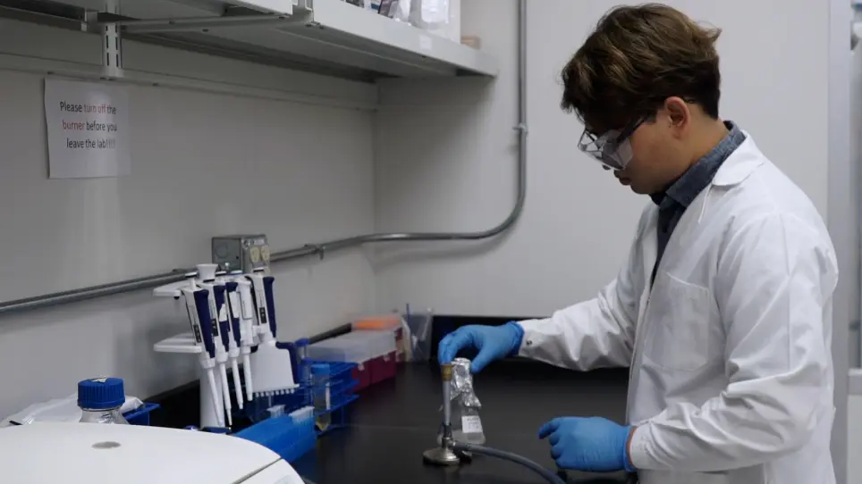 High-throughput Screening of Chemical Compounds to Elucidate Their Effects on Bacterial Persistence