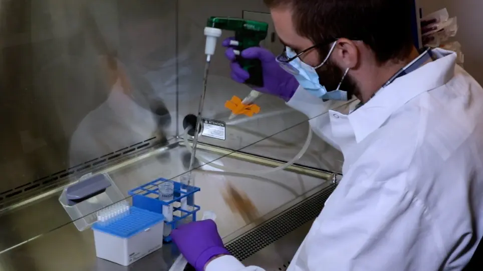 Investigating Target Gene Function in a CD40 Agonistic Antibody-induced Colitis Model using CRISPR/Cas9-based Technologies
