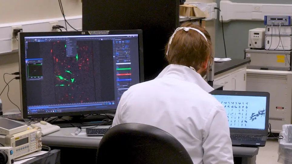 Quantifying the Brain Metastatic Tumor Micro-Environment using an Organ-On-A Chip 3D Model, Machine Learning, and Confocal Tomography