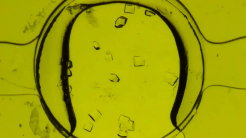Crystallization of Proteins on Chip by Microdialysis for <i>In Situ</i> X-ray Diffraction Studies