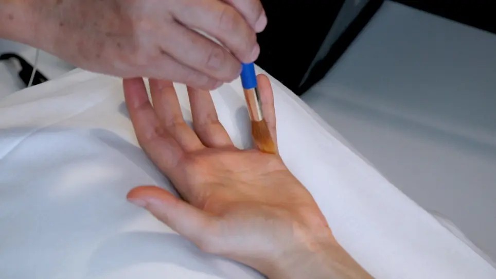 Virtual Hand with Ambiguous Movement between the Self and Other Origin: Sense of Ownership and 'Other-Produced' Agency