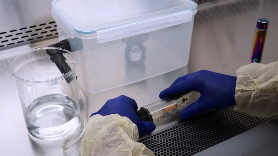Cigarette Smoke Exposure in Mice using a Whole-Body Inhalation System