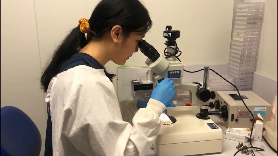 Derivatization of Protein Crystals with I3C using Random Microseed Matrix Screening