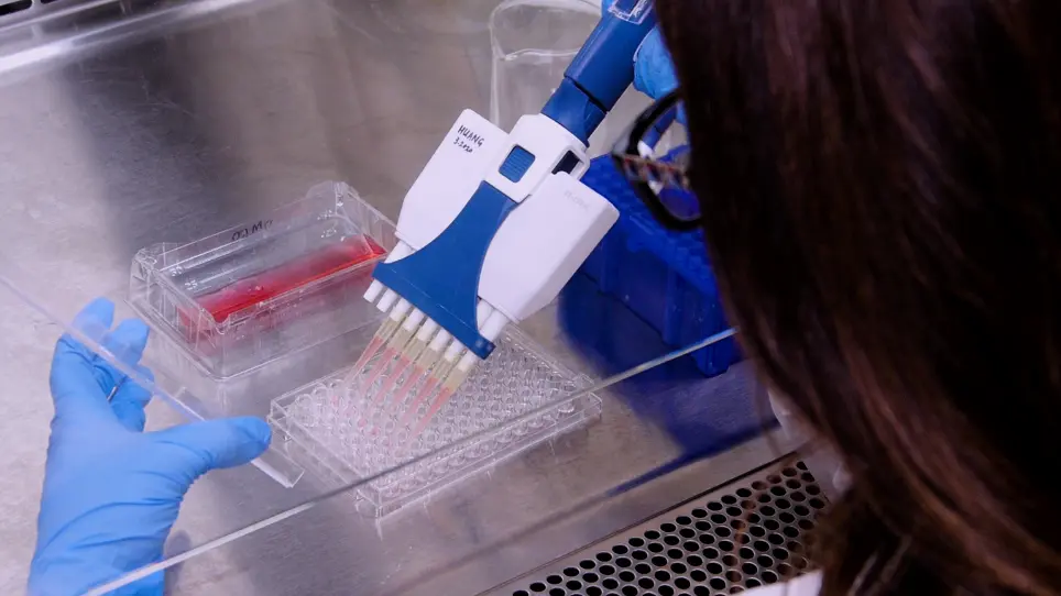 Functionalized Spirocyclic Heterocycle Synthesis and Cytotoxicity Assay