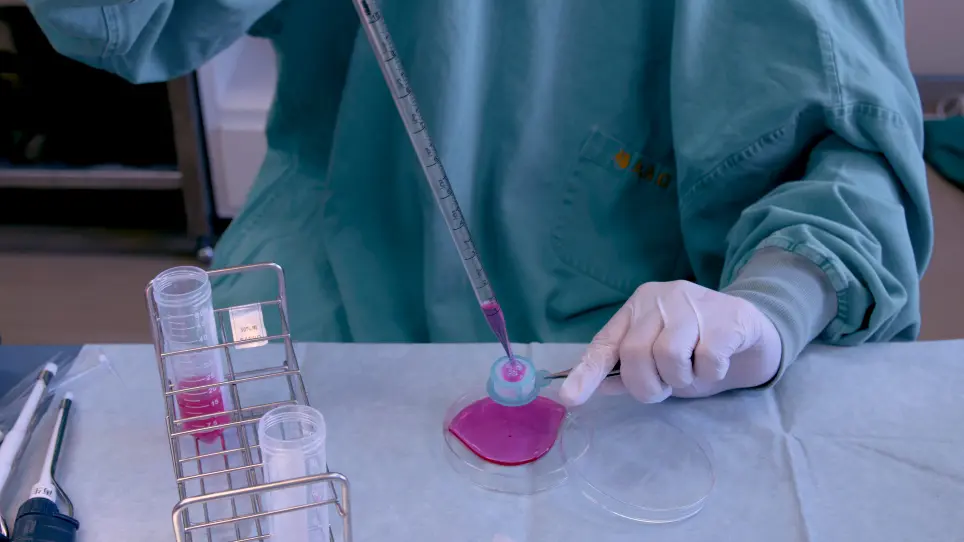 Fat-Covered Islet Transplantation Using Epididymal White Adipose Tissue