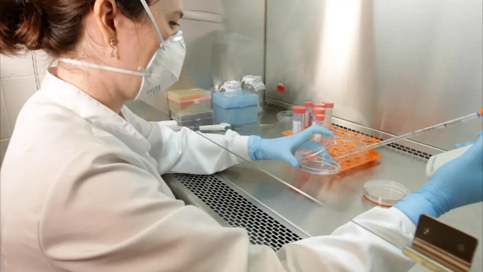 Using the E1A Minigene Tool to Study mRNA Splicing Changes