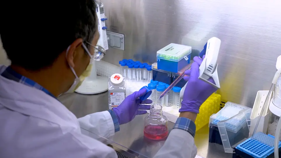 Generation and Expansion of Human Cardiomyocytes from Patient Peripheral Blood Mononuclear Cells