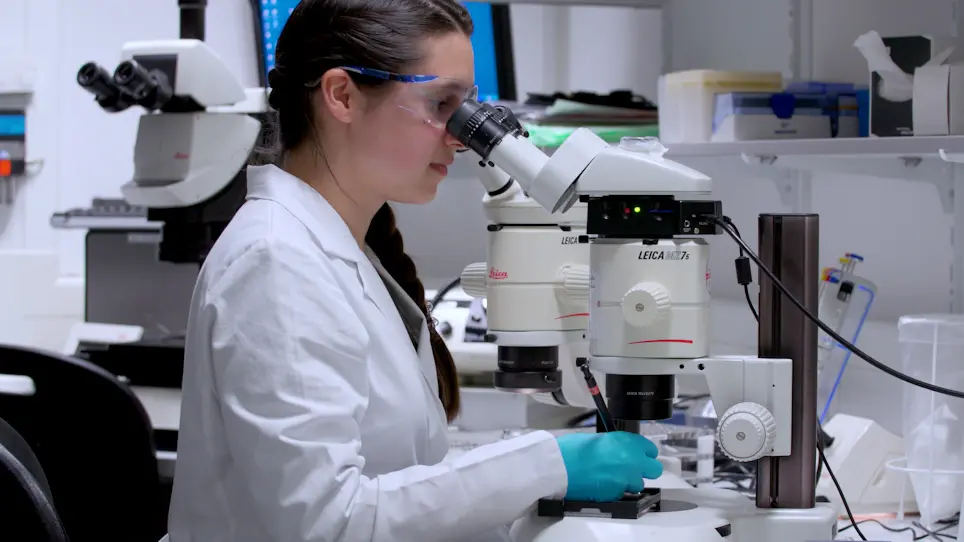 Workflow and Tools for Crystallographic Fragment Screening at the Helmholtz-Zentrum Berlin