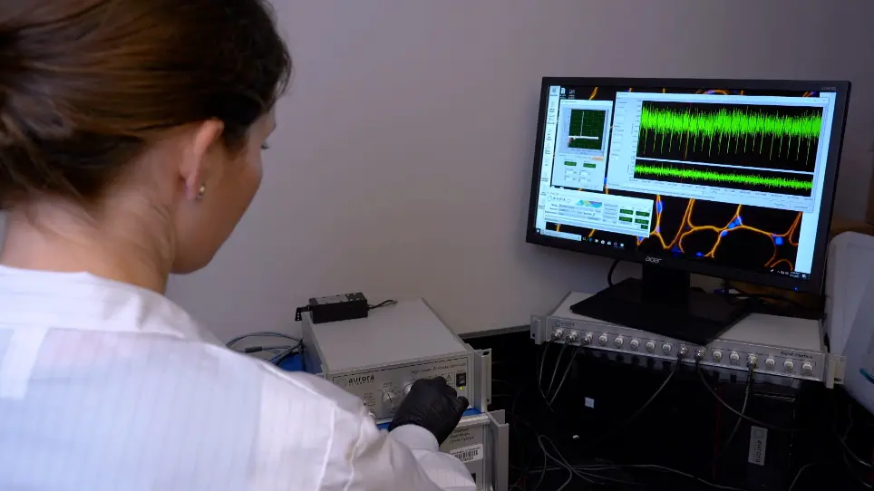 In vivo Measurement of Knee Extensor Muscle Function in Mice