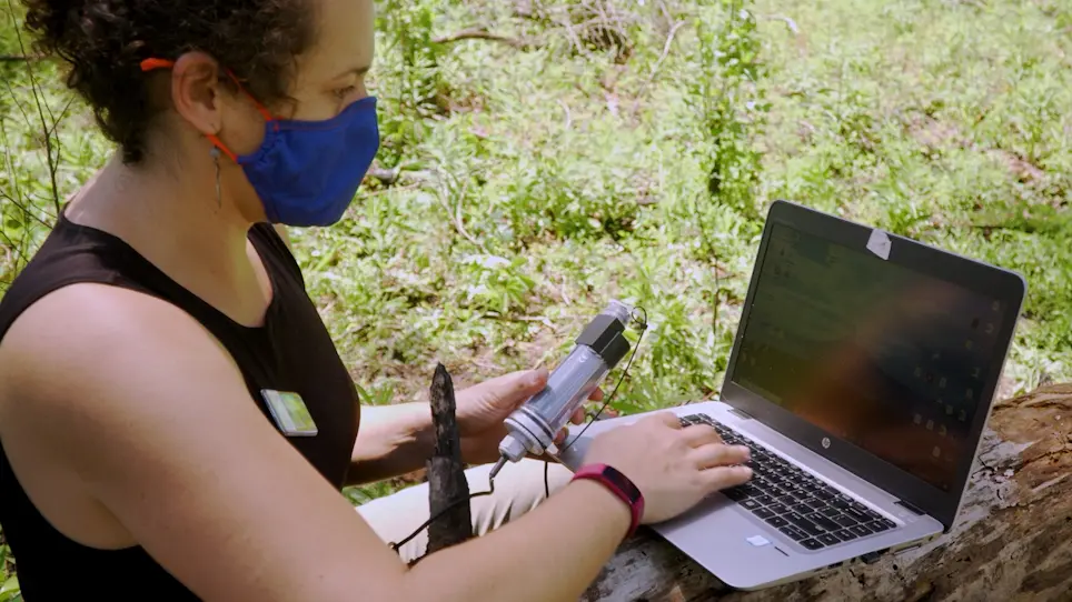 Field-Based Thermal Physiology Assay: Cold Shock Recovery under Ambient Conditions