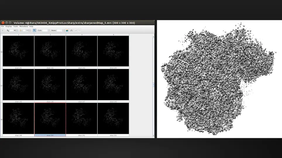 Cryo-EM and Single-Particle Analysis with Scipion