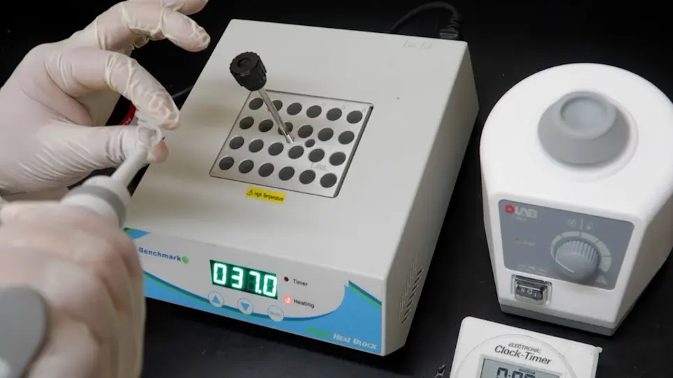 A Time-Efficient Fluorescence Spectroscopy-Based Assay for Evaluating Actin Polymerization Status in Rodent and Human Brain Tissues