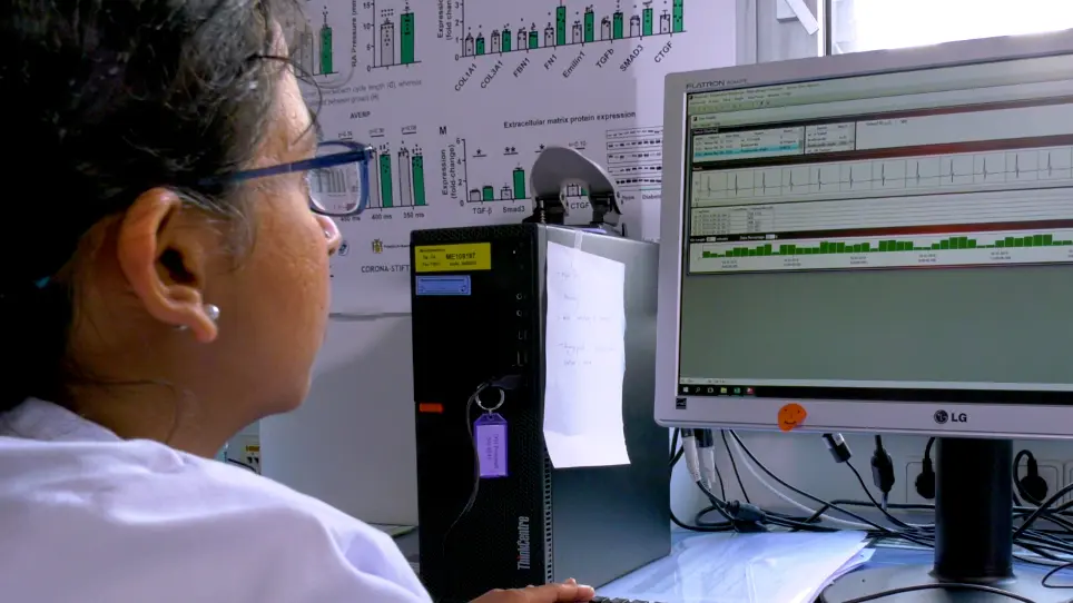 Analyzing Long-Term Electrocardiography Recordings to Detect Arrhythmias in Mice