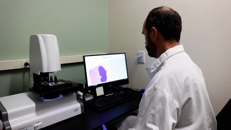 Automated Dissection Protocol for Tumor Enrichment in Low Tumor Content Tissues
