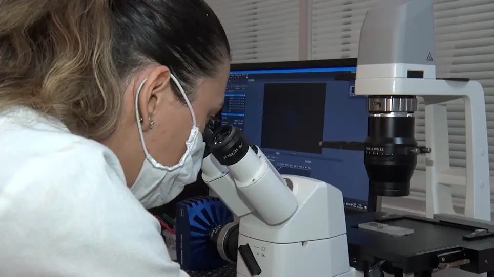 High-throughput Antiviral Assays to Screen for Inhibitors of Zika Virus Replication