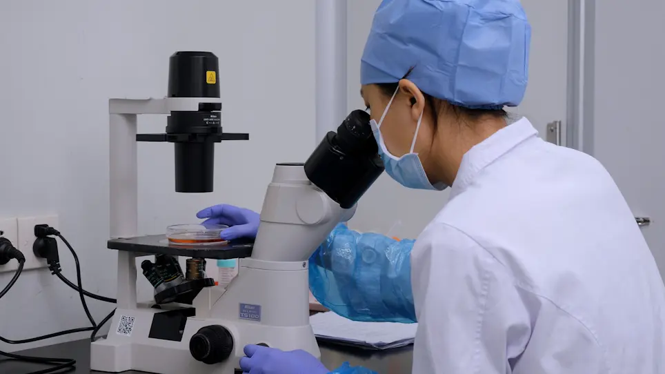 Retinal Organoid Induction System for Derivation of 3D Retinal Tissues from Human Pluripotent Stem Cells