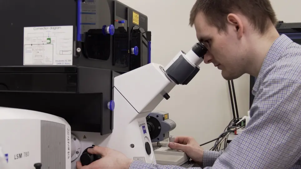 Confocal Laser Scanning Microscopy-Based Quantitative Analysis of <em>Aspergillus fumigatus</em> Conidia Distribution in Whole-Mount Optically Cleared Mouse Lung