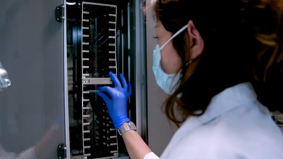 The Automated Crystallography Pipelines at the EMBL HTX Facility in Grenoble