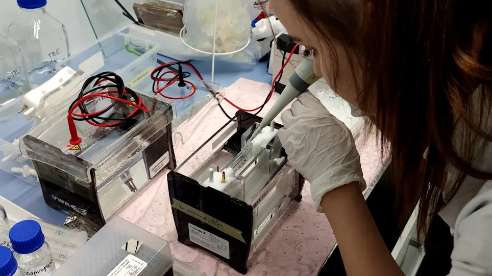 RIBO-seq in Bacteria: a Sample Collection and Library Preparation Protocol for NGS Sequencing