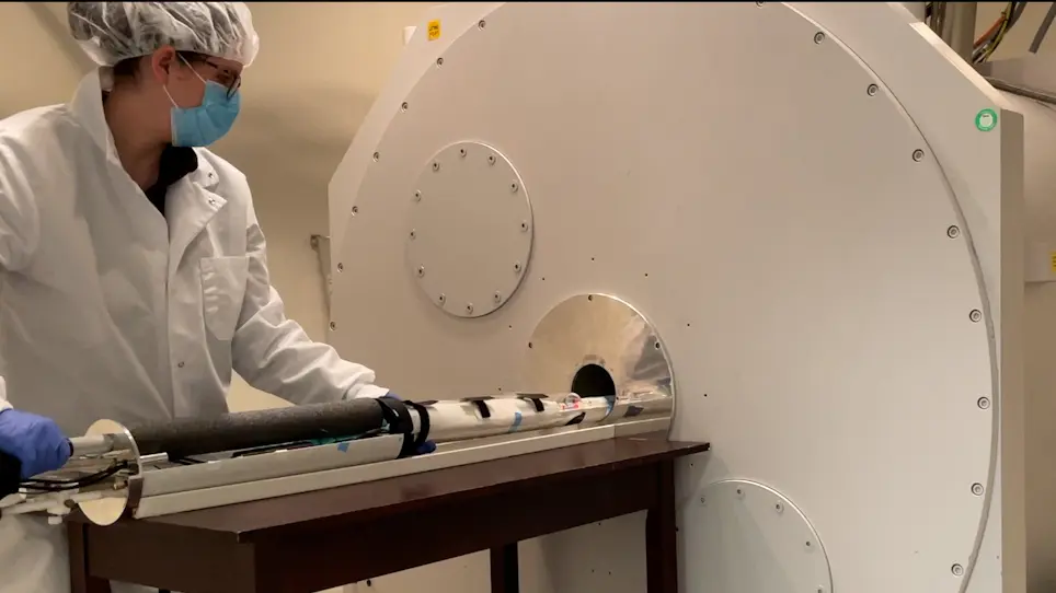 Acquisition of Resting-State Functional Magnetic Resonance Imaging Data in the Rat