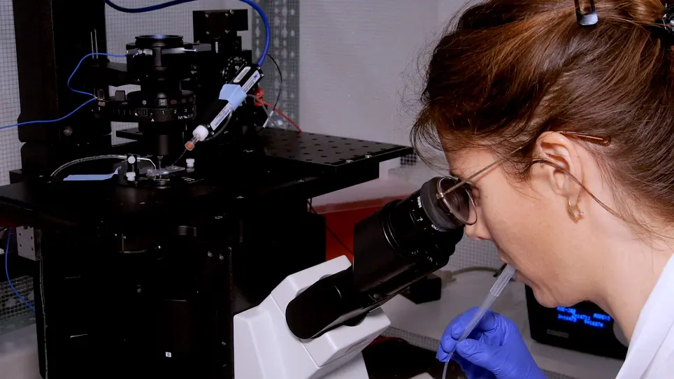 The Use of the Patch-Clamp Technique to Study the Thermogenic Capacity of Mitochondria