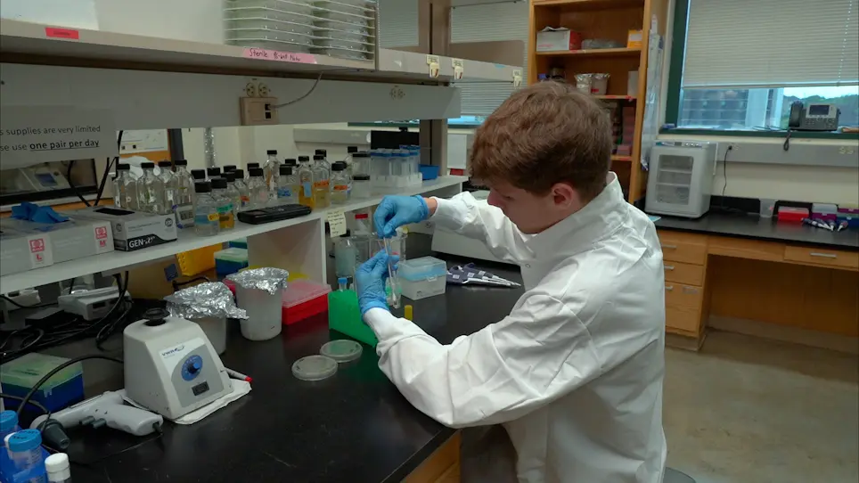 Extraction and Visualization of Protein Aggregates after Treatment of <em>Escherichia coli</em> with a Proteotoxic Stressor