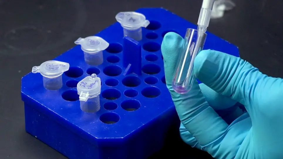 Single Molecule Fluorescence Energy Transfer Study of Ribosome Protein Synthesis