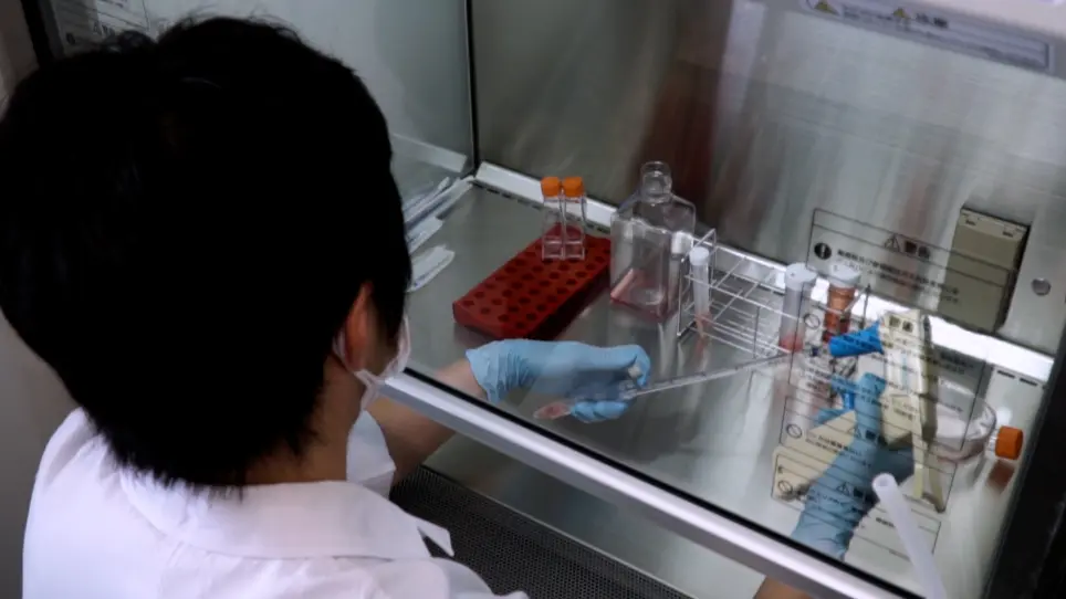 High-Throughput <em>In Vitro</em> Assay using Patient-Derived Tumor Organoids