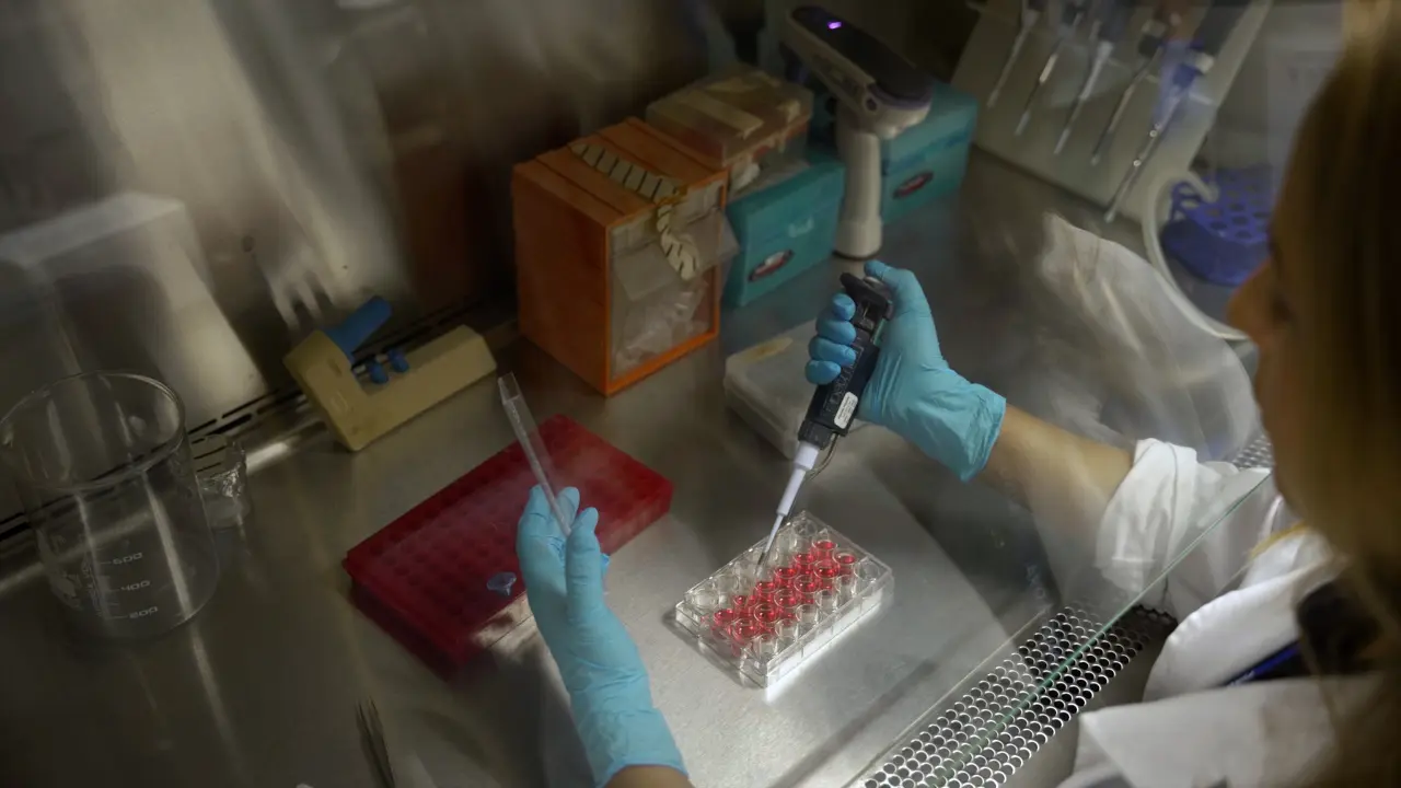 Measuring Membrane Lipid Turnover with the pH-sensitive Fluorescent Lipid Analog ND6