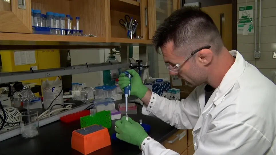 Rapid, Enzymatic Methods for Amplification of Minimal, Linear Templates for Protein Prototyping using Cell-Free Systems