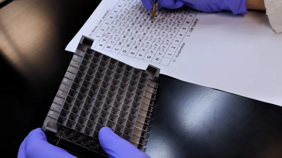 A High Throughput Microplate Feeder Assay for Quantification of Consumption in <em>Drosophila</em>