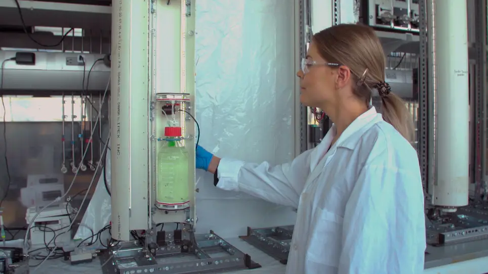 Operation of Laboratory Photobioreactors with Online Growth Measurements and Customizable Light Regimes