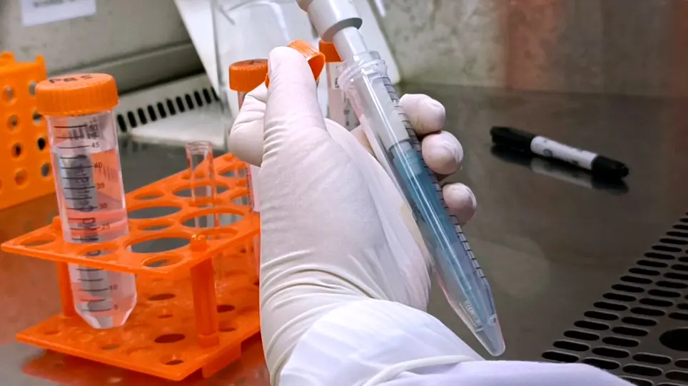 Direct Reprogramming of Mouse Fibroblasts into Melanocytes