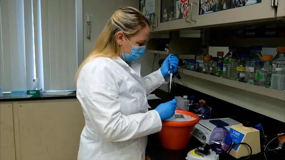 Reconstitution of Msp1 Extraction Activity with Fully Purified Components