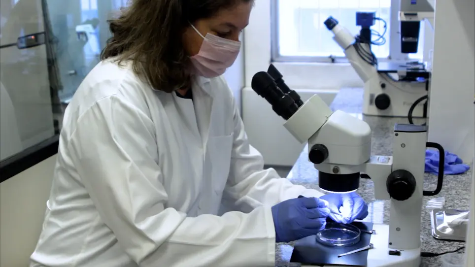 Sample Preparation and Relative Quantitation using Reductive Methylation of Amines for Peptidomics Studies