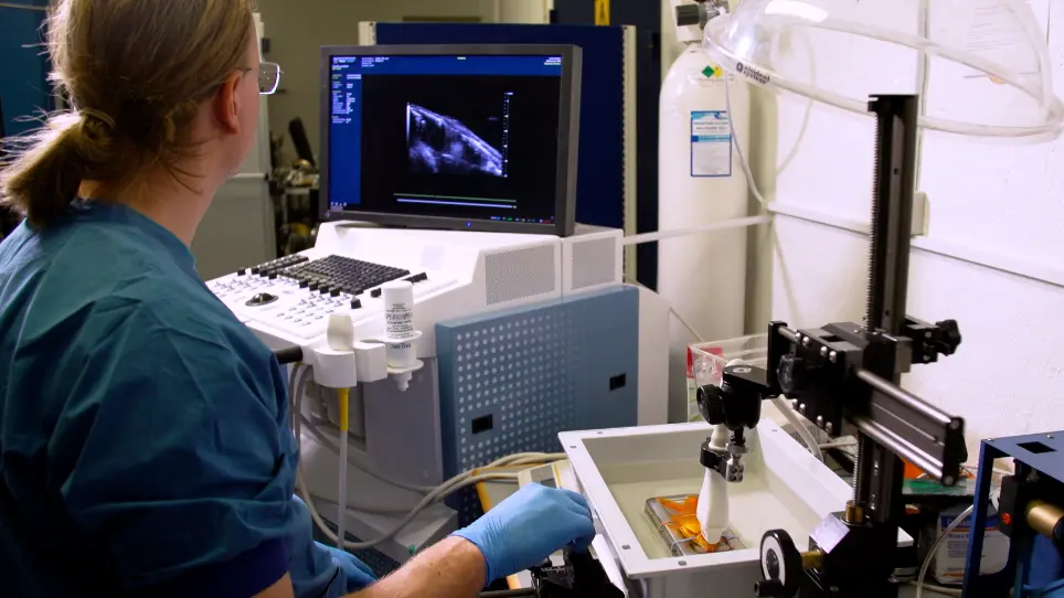 Deep Vascular Imaging in the Eye with Flow-Enhanced Ultrasound