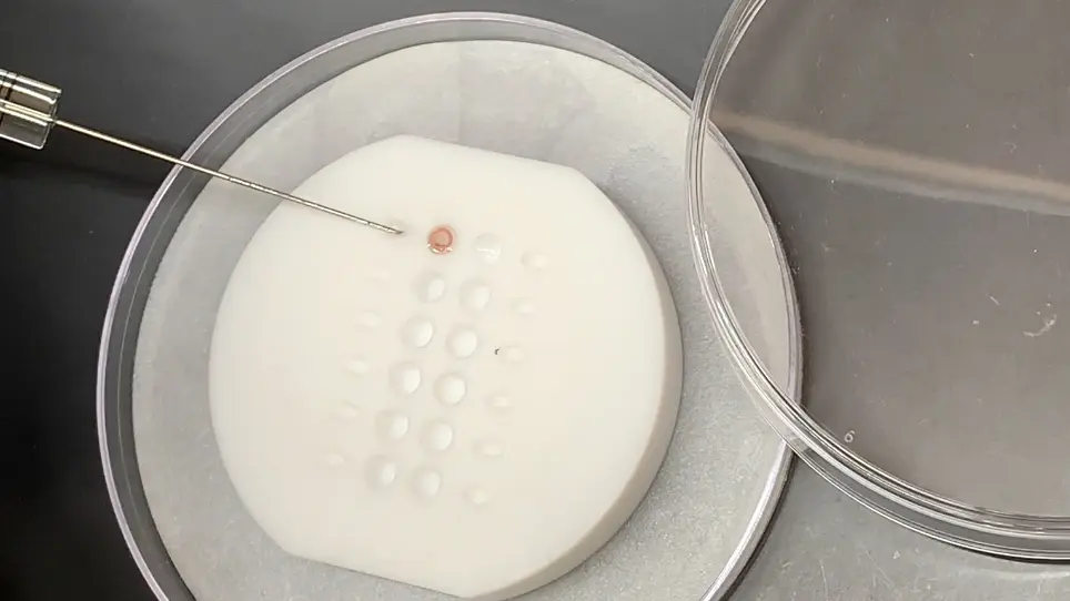 Sample Preparation using a Lipid Monolayer Method for Electron Crystallographic Studies